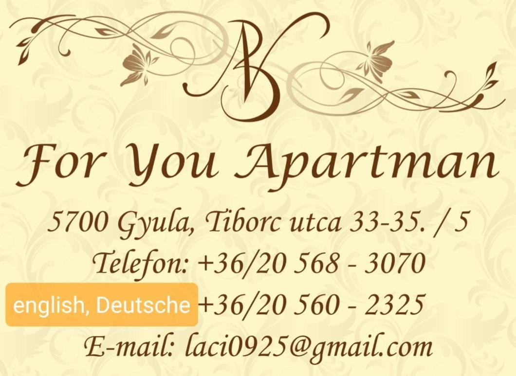 For You Apartman גיולה מראה חיצוני תמונה